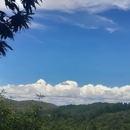 Oda ve Kahvaltı Entre Redares Et Salendrinque *